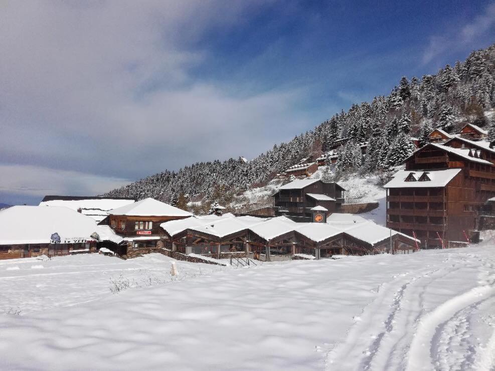 Pleine Nature Pied Pistes Piscine Chauffee Ustou ภายนอก รูปภาพ