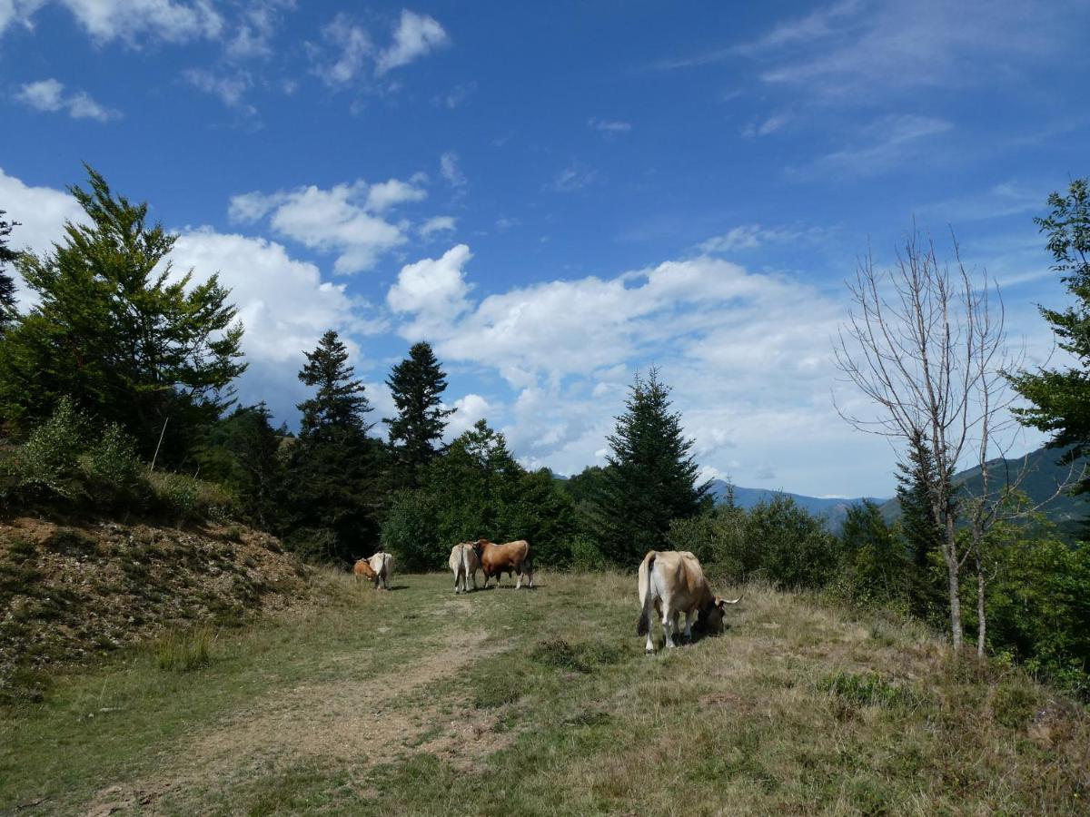 Pleine Nature Pied Pistes Piscine Chauffee Ustou ภายนอก รูปภาพ